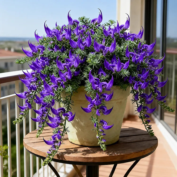 ParrotBloom – Les bulbes de fleurs uniques en bec de perroquet