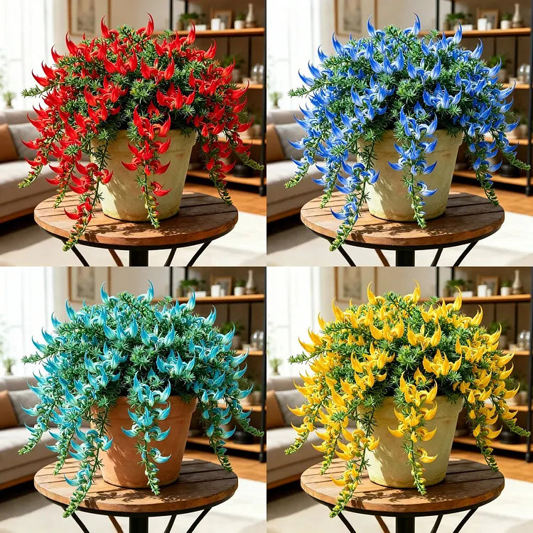 ParrotBloom – Les bulbes de fleurs uniques en bec de perroquet