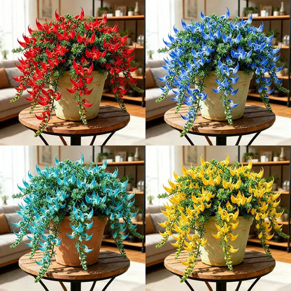 ParrotBloom – Les bulbes de fleurs uniques en bec de perroquet