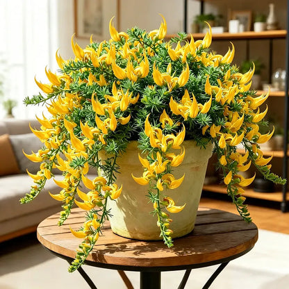 ParrotBloom – Les bulbes de fleurs uniques en bec de perroquet