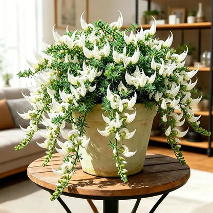 ParrotBloom – Les bulbes de fleurs uniques en bec de perroquet