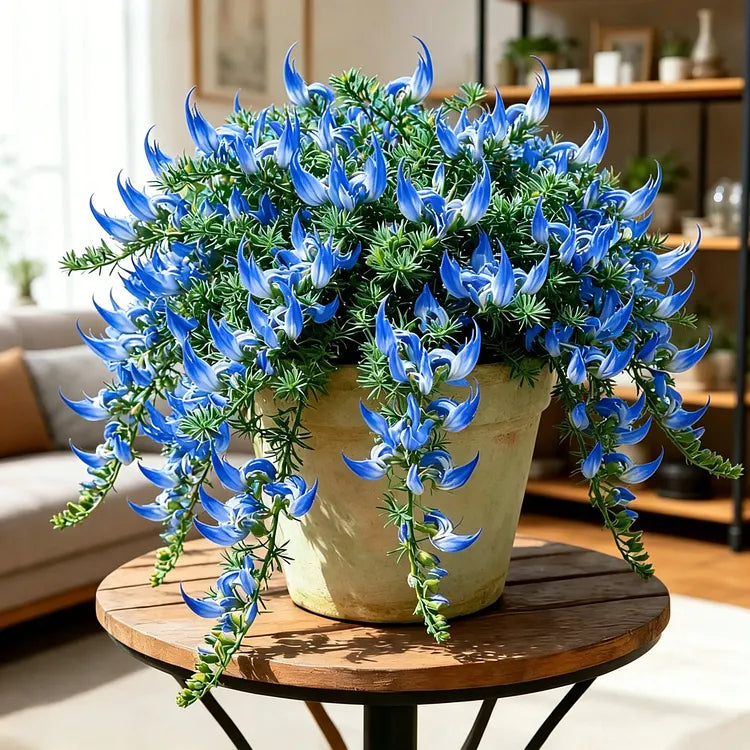 ParrotBloom – Les bulbes de fleurs uniques en bec de perroquet